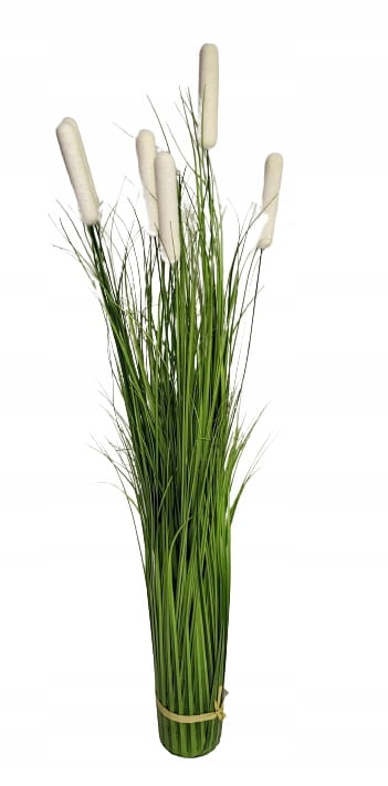 a932193cf6797e73ffcbcf17b9403541