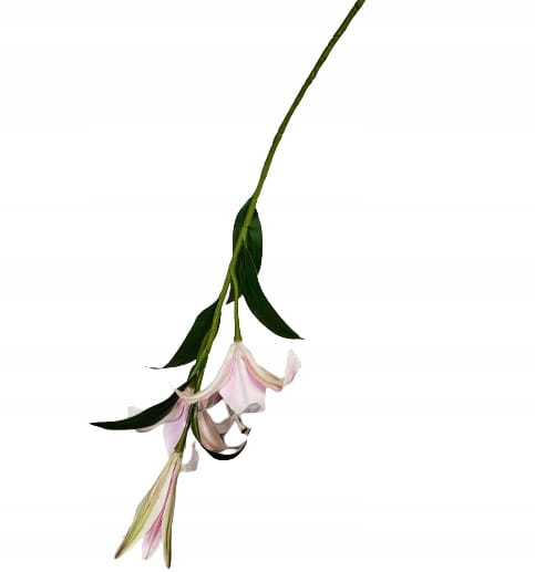 7cb79c9488eefe821d33c3236d4bb94f