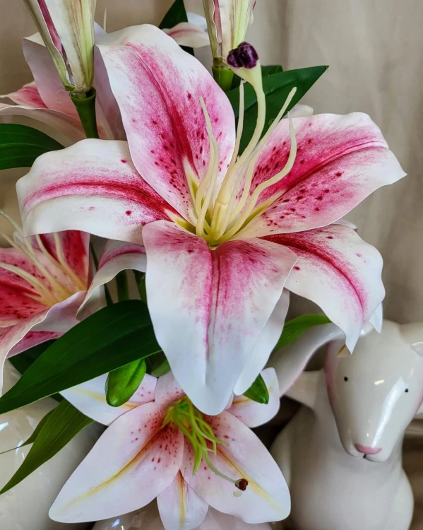 7001006ae77605c99908b7b1ef134e86