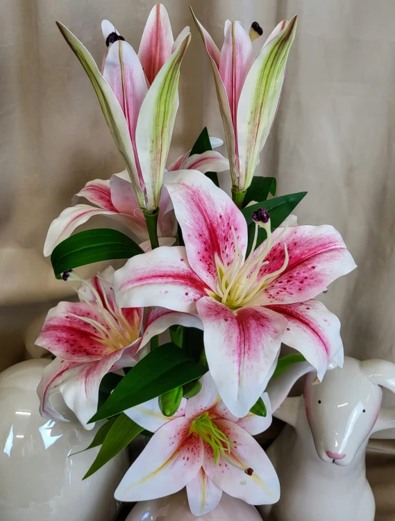 319ebc3151fbb47188832a12c01c724e