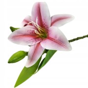 05e19917c5e5aaafe2f34ffa781ae5bf