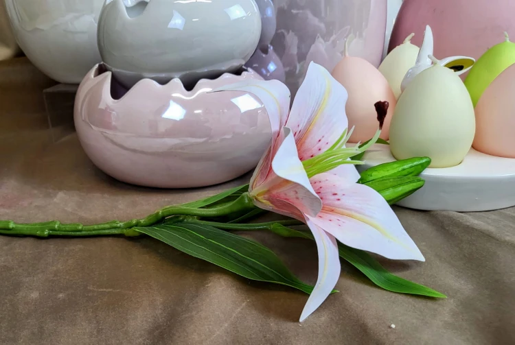 cb9458a952250ed94f91a7deb3098c24