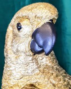 758aba758b1a2817248242e5976a1b4e