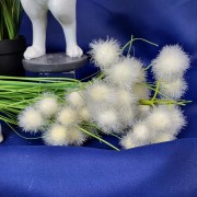 6cd6372cba1b8a2dda6faa09473435c5