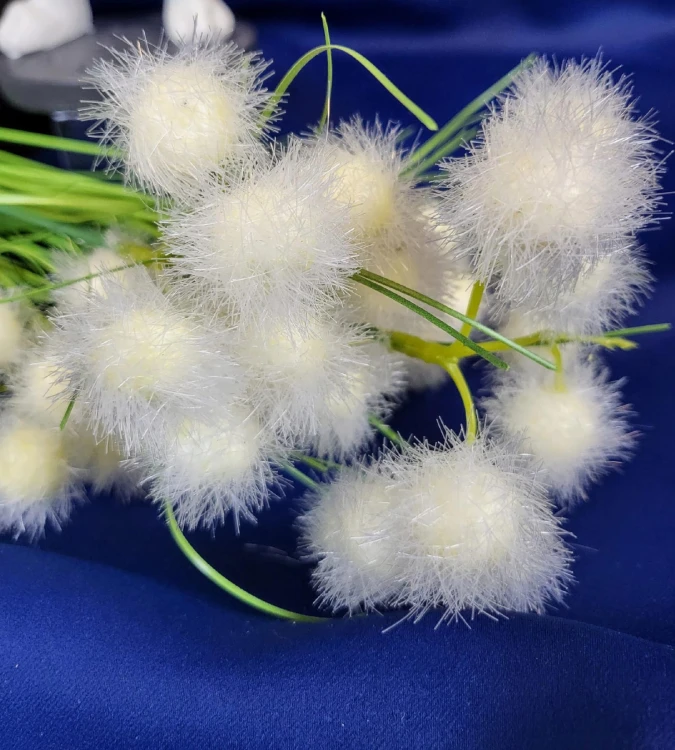 8ca743f195df651ae7dc652375c94f24