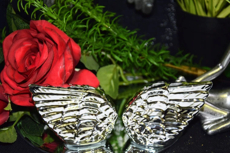 0455adf596862c325e7ac19d5394647b