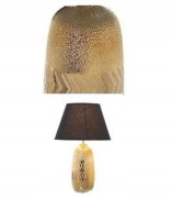 0a591fe30e8ef25f8abcd8c10c673433