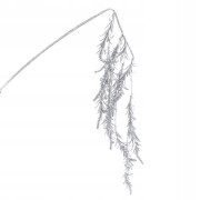 27bda58debd2b0bb8f3d94d1b1c17418