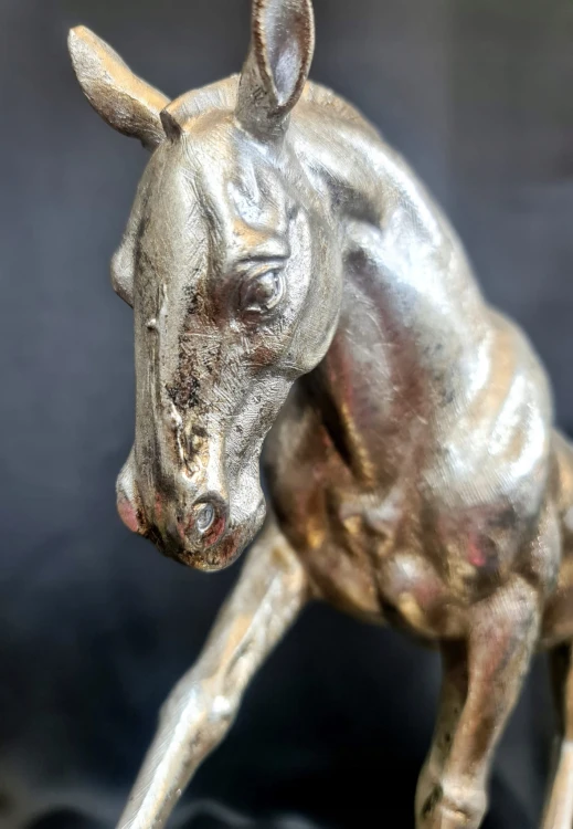 5010179855944aaee6521d99a91c0991