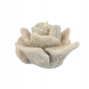 cfd5350cc054a8b91c089495bd837915