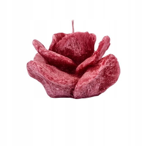 6d52c220efbb1c20f4de40fdd9fd979c