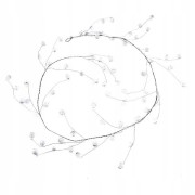 2d332373ba634e9ede8cab4904519b9e