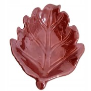 b50dec6a92ba447fa5f041460a04a724