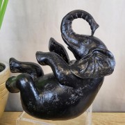 6c20416e9dc5021999e3811e9b2e1128