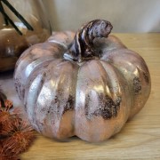 6ac82a7ad4d593e04a60225a4667f167