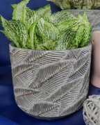 4f63fa863fef6cf21cabba54785a8cd8