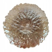 deed29996d1ccd5152b3bd5f4679c99d