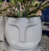 4a962579bb6f9dfd5c79a74600714d6a