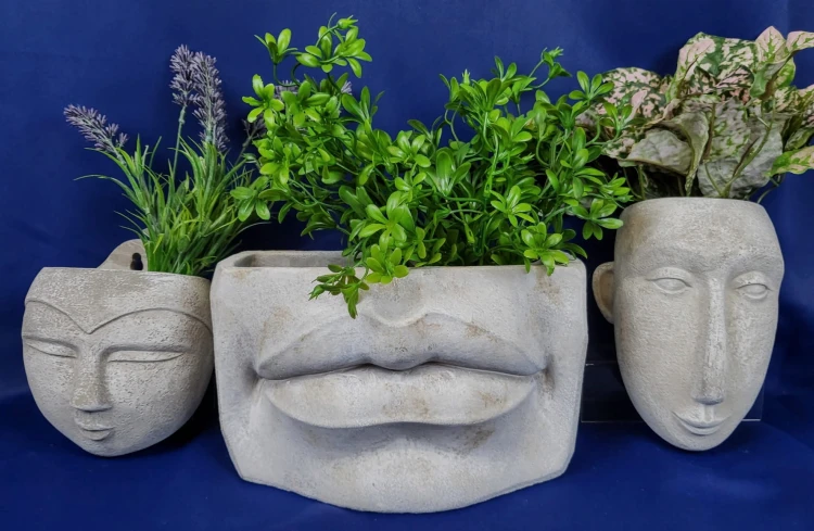 c448f77dc221f62a5cbe57289cd273bb