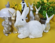 9218bb85129940a4cecdb2f661ce333d