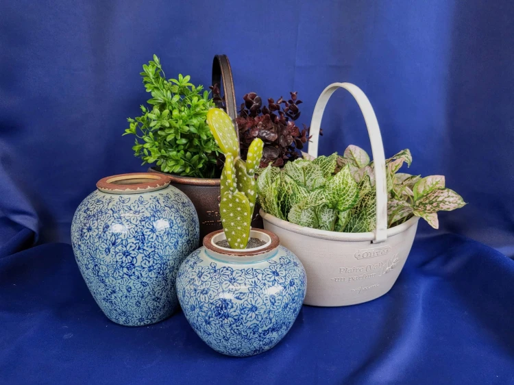 5953caf7b752debc2b6299835fb541a0