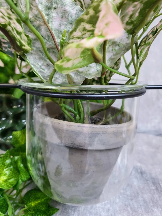 4685425166d4288bfc478c8ae5724192