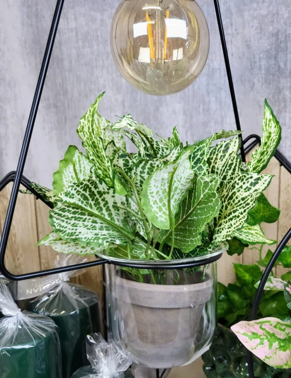 7fb7528a691159f9c74f69bcca77fd08