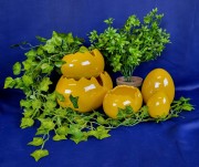 ca018ad5b91824e18aa54e5c56503624