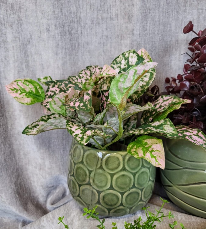 1b3bbd8edf9597918d78fba9d61c7d71