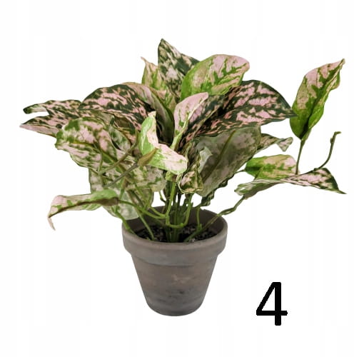 0c3e6b6261cfe474bc6406a3e657da55