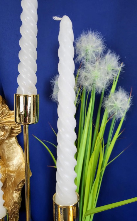 937c88d4f8a23e93727309430dd43368