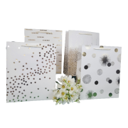 a93db03dd437dab61a2017ee915081c1