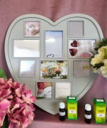 097ba37815d7db91f022db4919039658