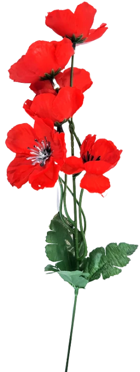 56378b9b126887c68e190591f1124f3a