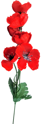 720f43e392a7cc8441593b6ca4d5b4d7