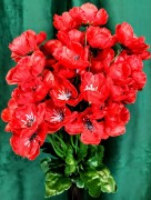 MAK POJEDYNCZY