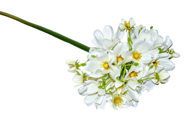 067f655e99b3bfa714bcf11a346f9f0b