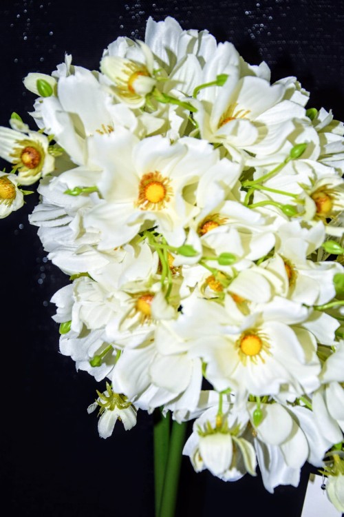 7a19614c9beba8e78159741975583a97