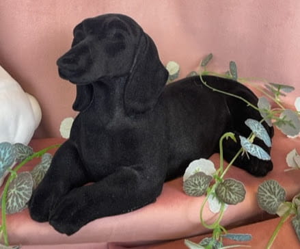 aeac7922d267409580799960252c5b84