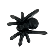 10f54d30b1775133819647fab4a9905b