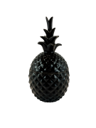 ANANAS CZARNY Z POKRYWKĄ