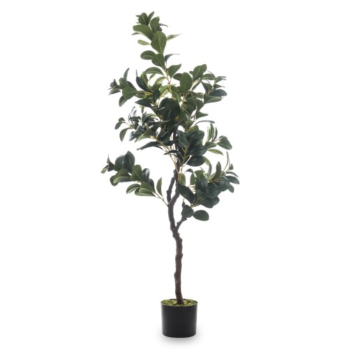 ccbc361eb86a5c90e98d7c3496726413