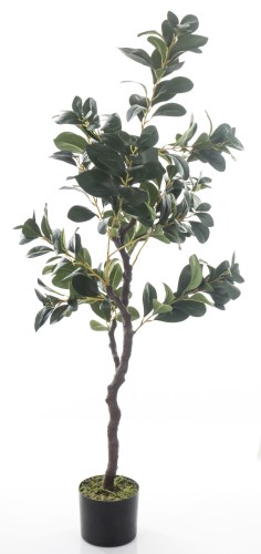 2e2f2cb2549e9c4c401f86347d88f4af