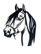 c4700f2eed90f15b432e7ff328383b5c