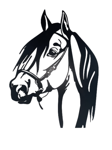 c4700f2eed90f15b432e7ff328383b5c