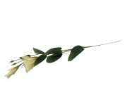 KWIATY SZTUCZNE EUSTOMA POJEDYNCZA MIX