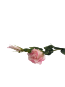 KWIATY SZTUCZNE EUSTOMA POJEDYNCZA MIX