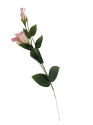 KWIATY SZTUCZNE EUSTOMA POJEDYNCZA MIX