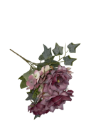 65ee07711282e46d25b4a4efa1732f5a