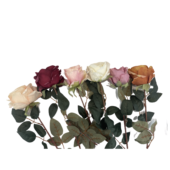 5087615a221586c6633f9698357533e1